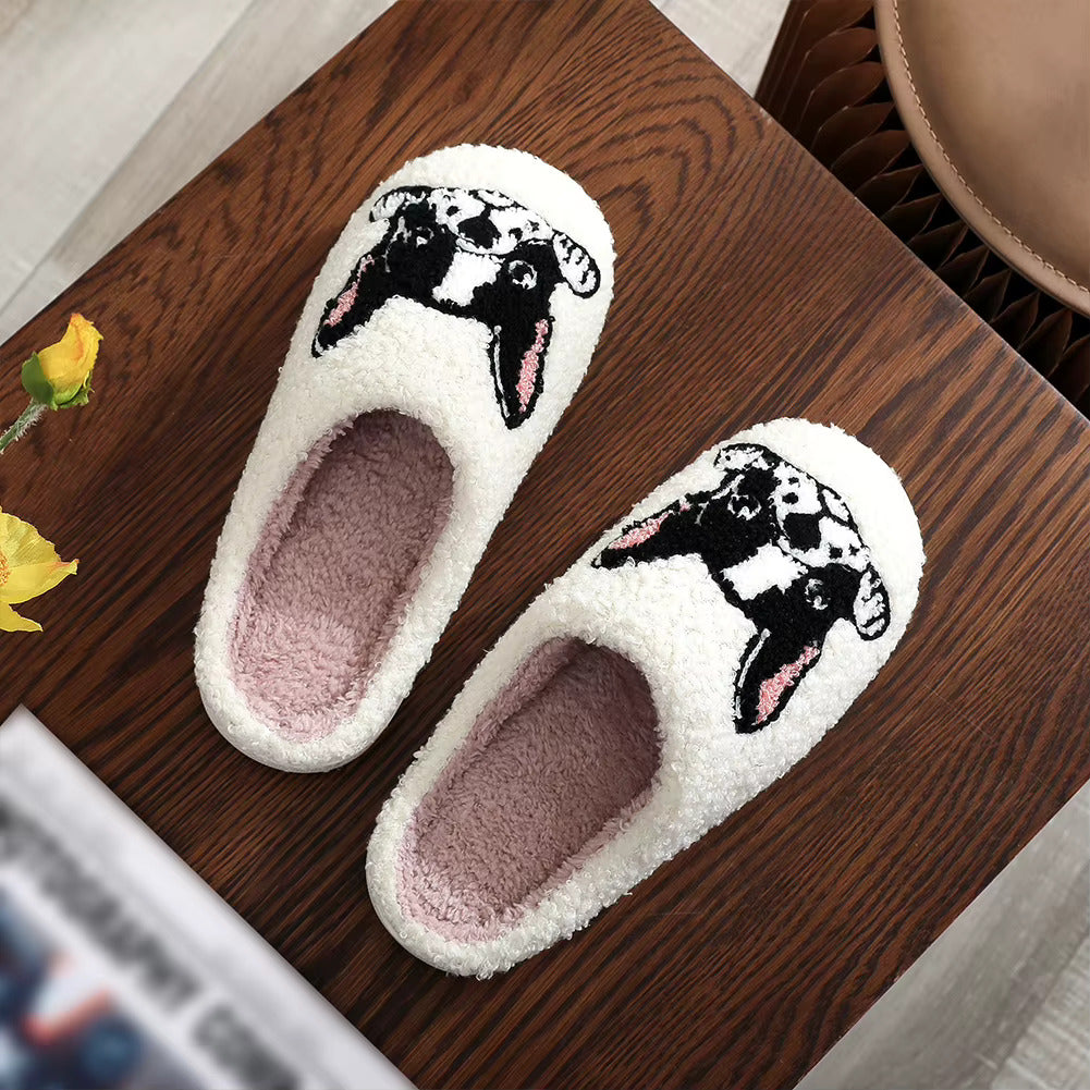 Pitbull Cozy slides